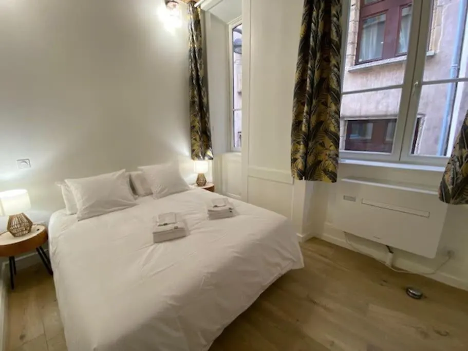 Presqu'Ile Saint Nizier Coeur De Lyon Classe 4*